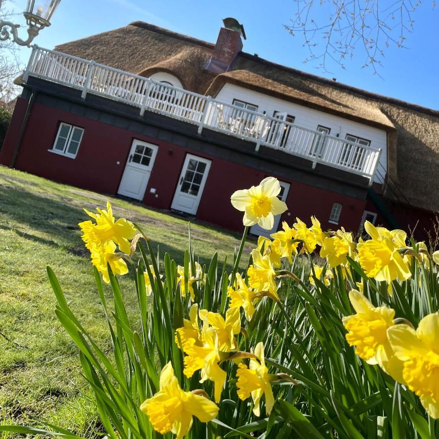 Alte Schule Spo Daire Sankt Peter-Ording Dış mekan fotoğraf