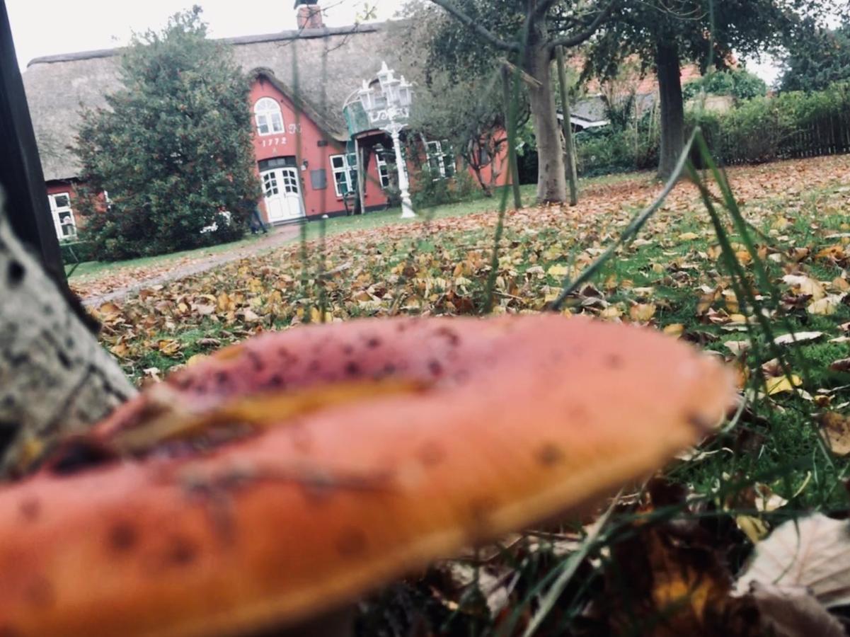 Alte Schule Spo Daire Sankt Peter-Ording Dış mekan fotoğraf